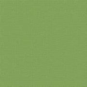CARD STOCK 216gsm 10pack - Jungle 12 x 12